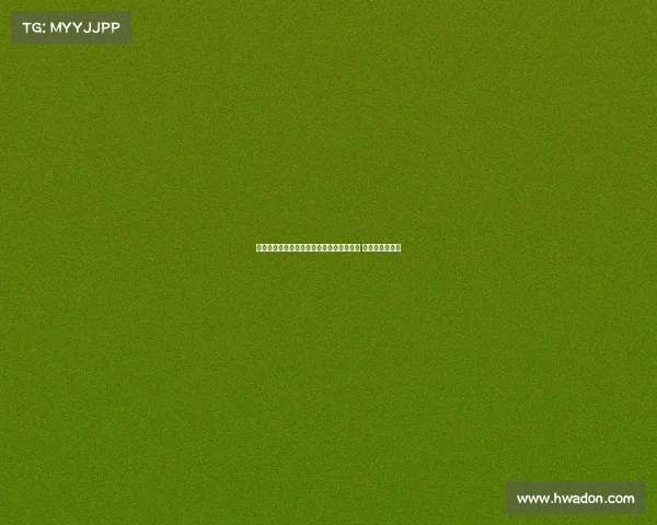 陈柏阳刘毅携手晋级羽毛球世锦赛男双决赛 力争历史性突破